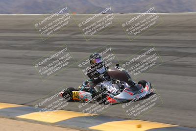 media/Mar-29-2025-Pro Autosports (Sat) [[89b1c017ad]]/6-Purple Group/Session 2 (Bowl)/